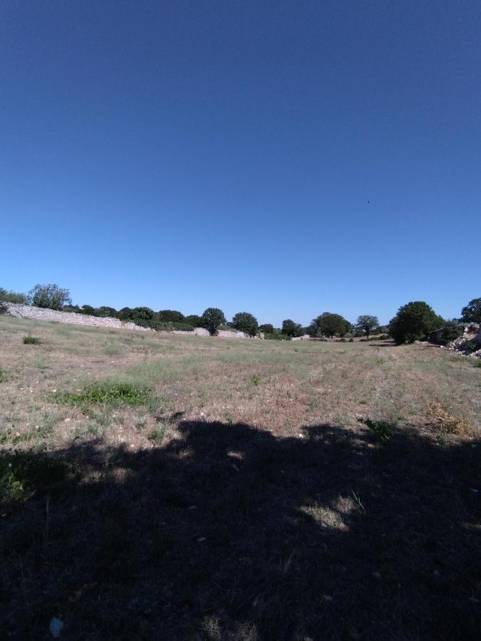אלברובלו Masseria Catucci Agriturismo מראה חיצוני תמונה