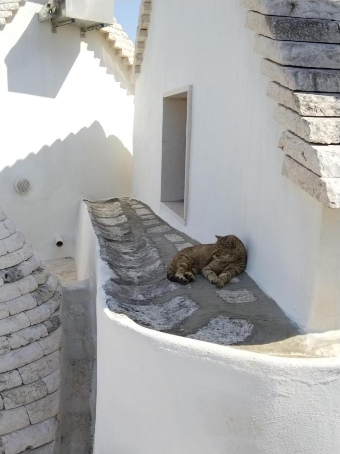 אלברובלו Masseria Catucci Agriturismo מראה חיצוני תמונה