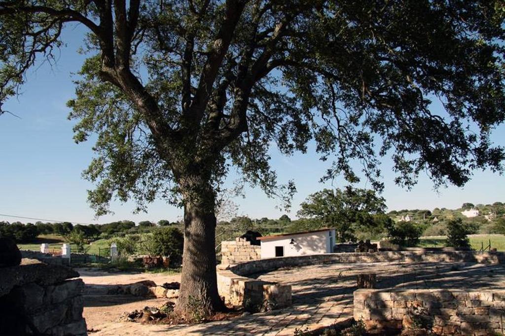 אלברובלו Masseria Catucci Agriturismo מראה חיצוני תמונה